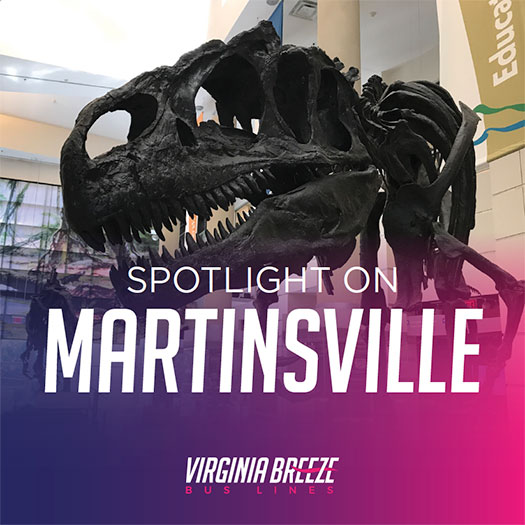Image of a promotional poster for Martinsville